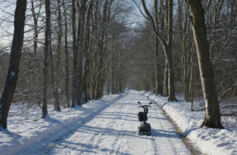 Mobility scooter on a snow-covered path between bare winter trees