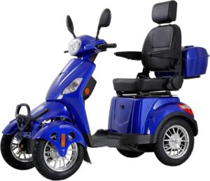 800W 500 lb Scooter
