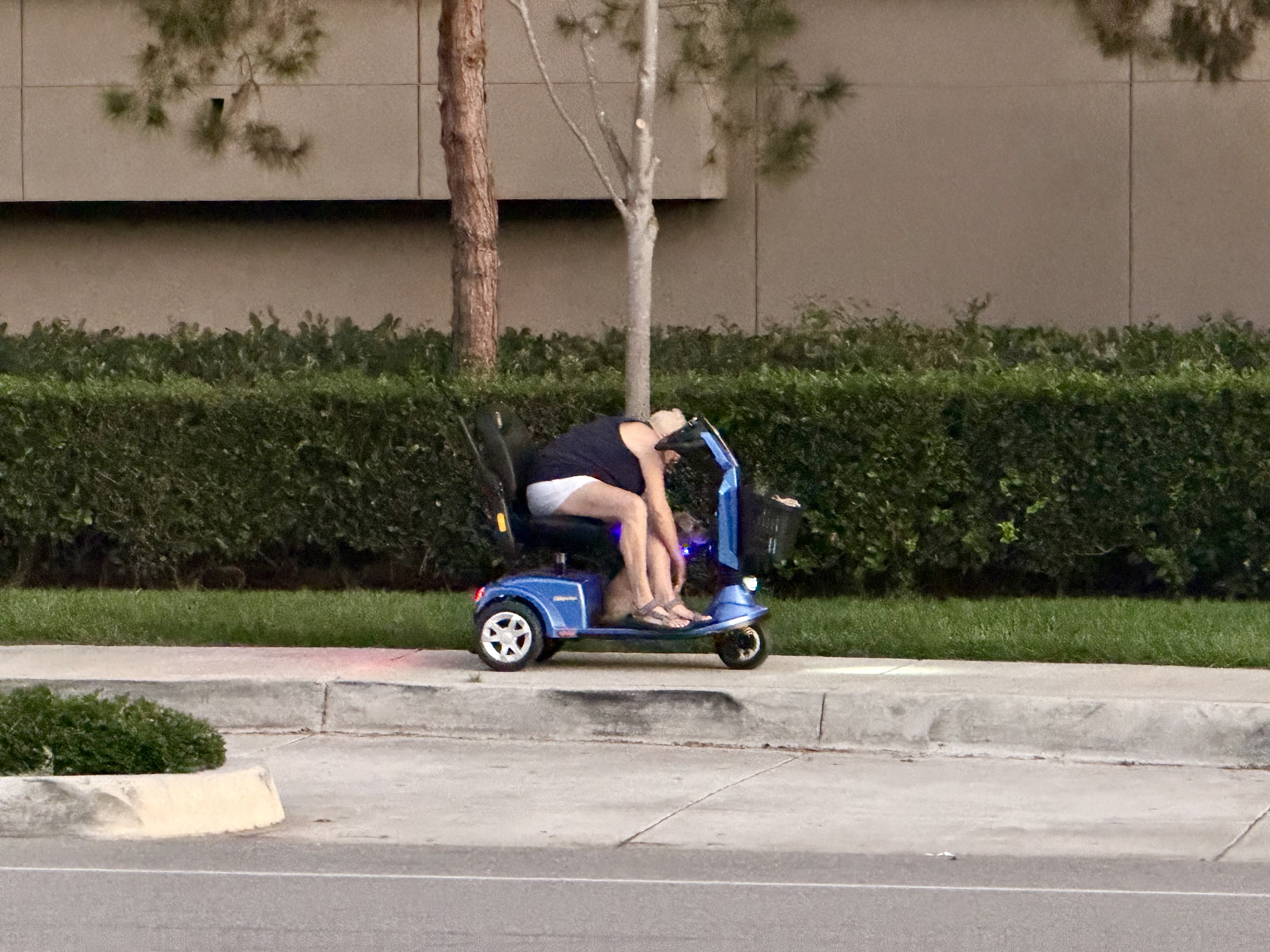 Blue three-wheel mobility scooter with a front basket parked on a sidewalk beside a trimmed hedge