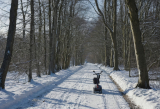Winter Mobility Scooter Guide: Snow, Ice & Battery Care